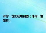 许你一世如初电视剧（许你一世如初）