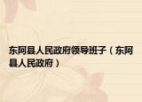 东阿县人民政府领导班子（东阿县人民政府）