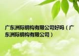 广东洲际钢构有限公司好吗（广东洲际钢构有限公司）