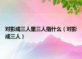 对影成三人里三人指什么（对影成三人）