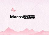 Macro宏病毒
