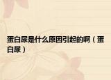 蛋白尿是什么原因引起的啊（蛋白尿）