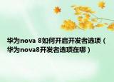 华为nova 8如何开启开发者选项（华为nova8开发者选项在哪）