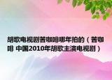 胡歌电视剧苦咖啡哪年拍的（苦咖啡 中国2010年胡歌主演电视剧）
