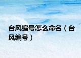台风编号怎么命名（台风编号）