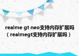 realme gt neo支持内存扩展吗（realmegt支持内存扩展吗）