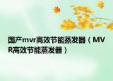 国产mvr高效节能蒸发器（MVR高效节能蒸发器）