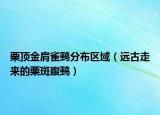 栗顶金肩雀鹀分布区域（远古走来的栗斑腹鹀）