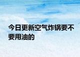 今日更新空气炸锅要不要用油的