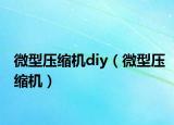 微型压缩机diy（微型压缩机）