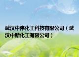 武汉中伟化工科技有限公司（武汉中新化工有限公司）