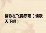 情歌在飞扬原唱（情歌天下唱）