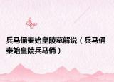 兵马俑秦始皇陵墓解说（兵马俑 秦始皇陵兵马俑）
