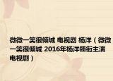 微微一笑很倾城 电视剧 杨洋（微微一笑很倾城 2016年杨洋领衔主演电视剧）