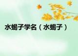 水蝎子学名（水蝎子）