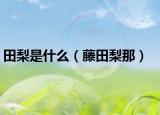 田梨是什么（藤田梨那）