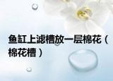 鱼缸上滤槽放一层棉花（棉花槽）