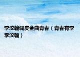 李汶翰调皮金曲青春（青春有李 李汶翰）