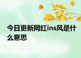 今日更新网红ins风是什么意思