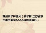 苏州狮子林图片（狮子林 江苏省苏州市的国家AAAA级旅游景区）