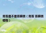青苔是不是苔藓类（青苔 苔藓类植物）
