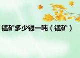 锰矿多少钱一吨（锰矿）