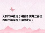 大同市种猪场（种猪场 黑龙江省佳木斯市富锦市下辖种猪场）