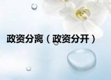 政资分离（政资分开）