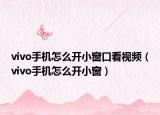 vivo手机怎么开小窗口看视频（vivo手机怎么开小窗）