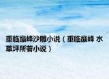 重临巅峰沙雕小说（重临巅峰 水草坪所著小说）