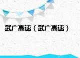 武广高速（武广高速）