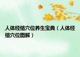 人体经络穴位养生宝典（人体经络穴位图解）