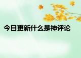 今日更新什么是神评论
