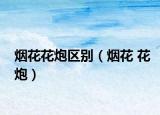 烟花花炮区别（烟花 花炮）