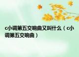 c小调第五交响曲又叫什么（c小调第五交响曲）