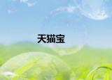 天猫宝