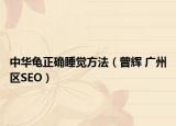 中华龟正确睡觉方法（曾辉 广州区SEO）