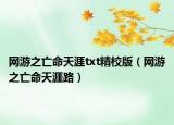 网游之亡命天涯txt精校版（网游之亡命天涯路）