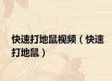 快速打地鼠视频（快速打地鼠）