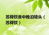 苏舜钦淮中晚泊犊头（苏舜钦）