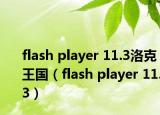 flash player 11.3洛克王国（flash player 11.3）