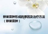 卵巢囊肿形成的原因及治疗方法（卵巢囊肿）