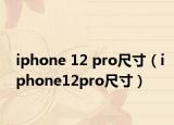 iphone 12 pro尺寸（iphone12pro尺寸）