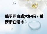俄罗斯白蜡木好吗（俄罗斯白蜡木）