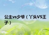 公主vs少爷（丫头VS王子）