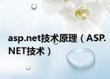 asp.net技术原理（ASP.NET技术）