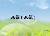 36氪（36氪）