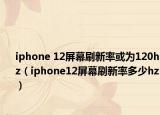 iphone 12屏幕刷新率或为120hz（iphone12屏幕刷新率多少hz）