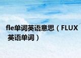 fle单词英语意思（FLUX 英语单词）