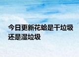 今日更新花蛤是干垃圾还是湿垃圾